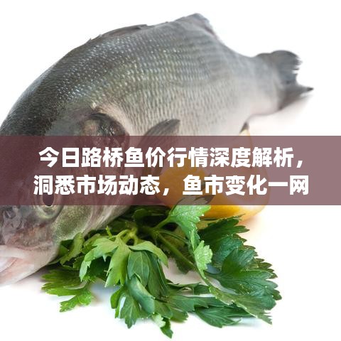 今日路橋魚價(jià)行情深度解析，洞悉市場動態(tài)，魚市變化一網(wǎng)打盡！