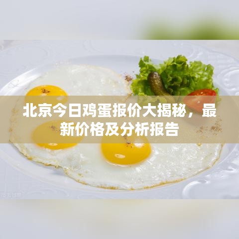 北京今日雞蛋報價大揭秘，最新價格及分析報告