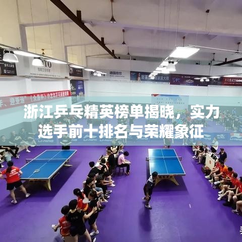 浙江乒乓精英榜單揭曉，實(shí)力選手前十排名與榮耀象征