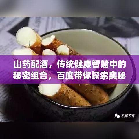 山藥配酒，傳統(tǒng)健康智慧中的秘密組合，百度帶你探索奧秘！