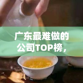 廣東最難做的公司TOP榜，挑戰(zhàn)與深度探究