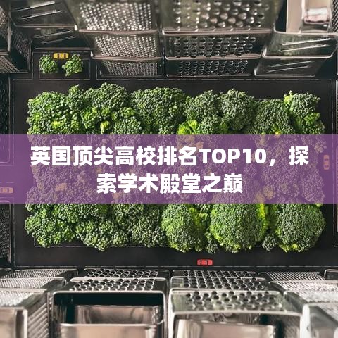 英國頂尖高校排名TOP10，探索學(xué)術(shù)殿堂之巔