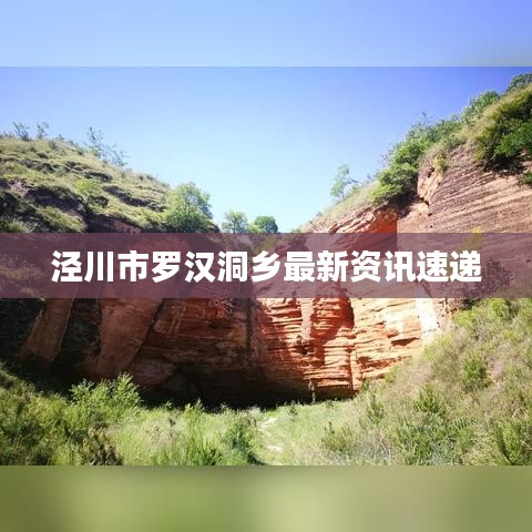 涇川市羅漢洞鄉(xiāng)最新資訊速遞