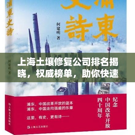 上海土壤修復(fù)公司排名揭曉，權(quán)威榜單，助你快速了解行業(yè)佼佼者