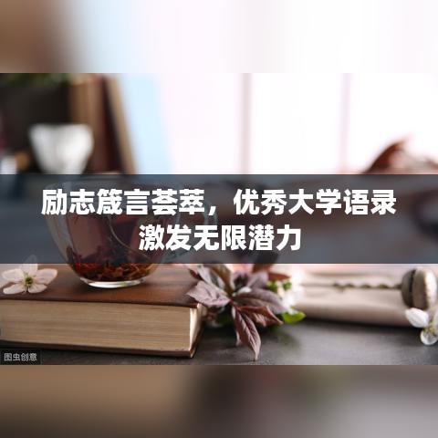 勵志箴言薈萃，優(yōu)秀大學語錄激發(fā)無限潛力