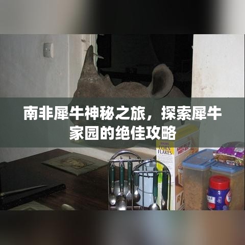 南非犀牛神秘之旅，探索犀牛家園的絕佳攻略