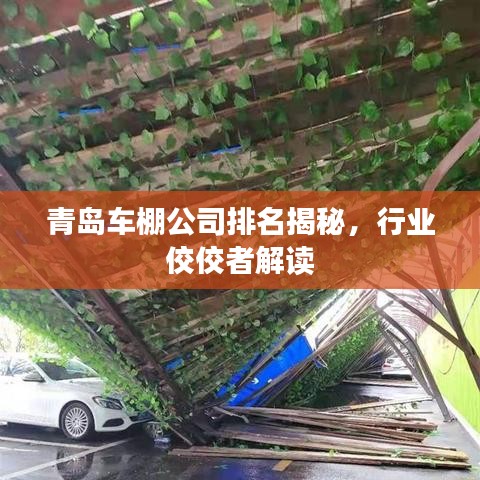 青島車棚公司排名揭秘，行業(yè)佼佼者解讀