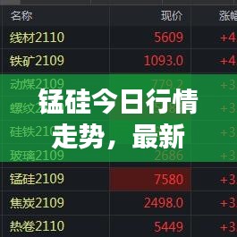 錳硅今日行情走勢，最新價格分析與市場展望