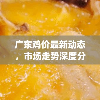 廣東雞價最新動態(tài)，市場走勢深度分析與預測