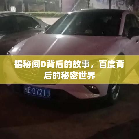 揭秘閩D背后的故事，百度背后的秘密世界