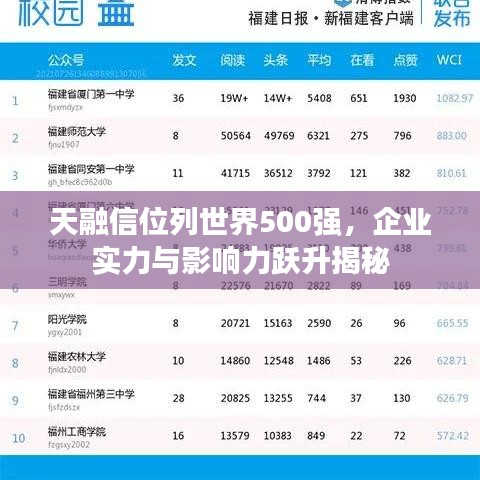 天融信位列世界500強，企業(yè)實力與影響力躍升揭秘