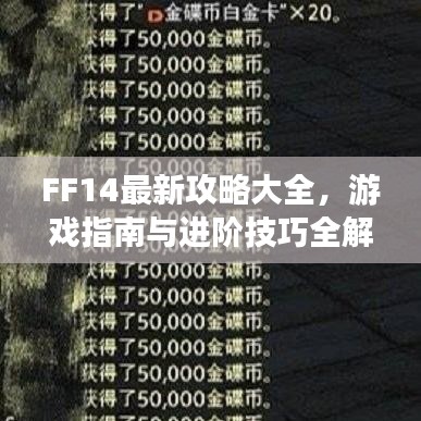 FF14最新攻略大全，游戲指南與進(jìn)階技巧全解析