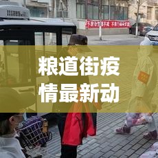 糧道街疫情最新動(dòng)態(tài)全面解讀