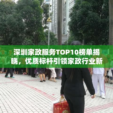 深圳家政服務(wù)TOP10榜單揭曉，優(yōu)質(zhì)標(biāo)桿引領(lǐng)家政行業(yè)新風(fēng)尚