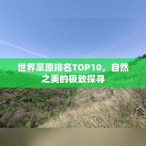 世界草原排名TOP10，自然之美的極致探尋