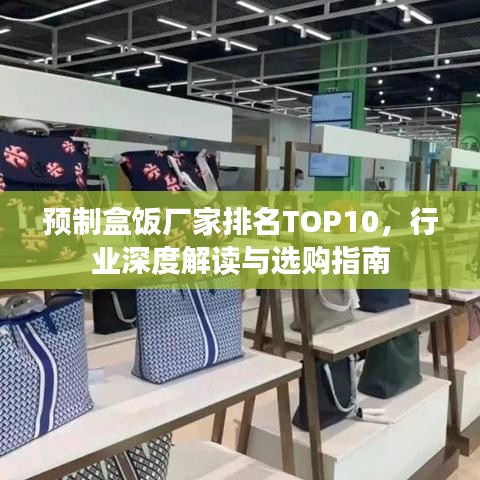 預(yù)制盒飯廠家排名TOP10，行業(yè)深度解讀與選購指南