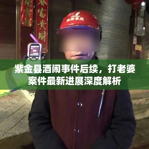 紫金縣酒鬧事件后續(xù)，打老婆案件最新進(jìn)展深度解析