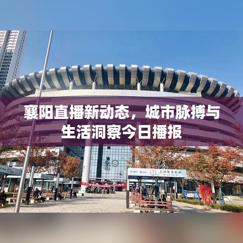 襄陽直播新動態(tài)，城市脈搏與生活洞察今日播報