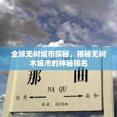 全球無樹城市探秘，揭秘?zé)o樹木城市的神秘排名