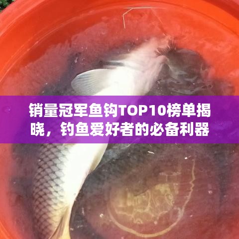 銷量冠軍魚鉤TOP10榜單揭曉，釣魚愛好者的必備利器