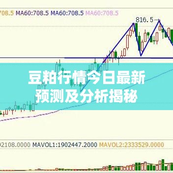 豆粕行情今日最新預(yù)測及分析揭秘