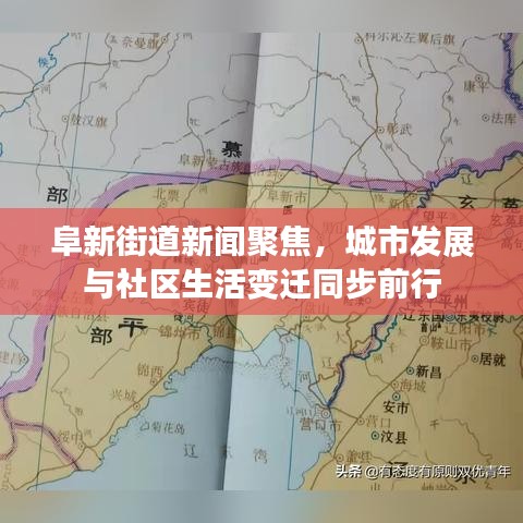 阜新街道新聞聚焦，城市發(fā)展與社區(qū)生活變遷同步前行