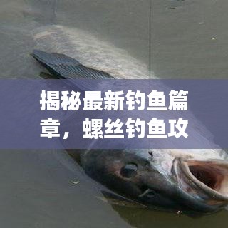 揭秘最新釣魚篇章，螺絲釣魚攻略大全，讓你輕松釣上大魚！