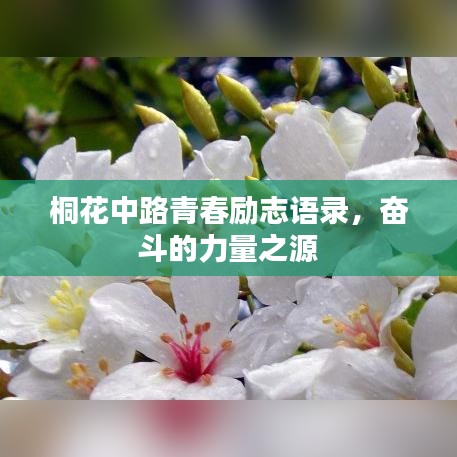 桐花中路青春勵志語錄，奮斗的力量之源