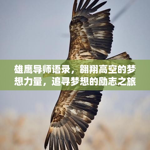 雄鷹導(dǎo)師語錄，翱翔高空的夢想力量，追尋夢想的勵志之旅