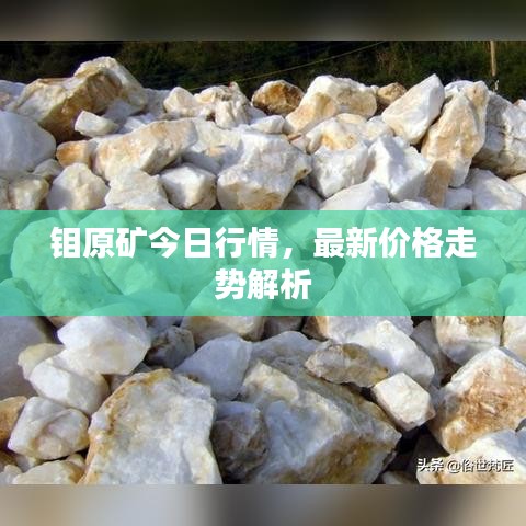 鉬原礦今日行情，最新價格走勢解析