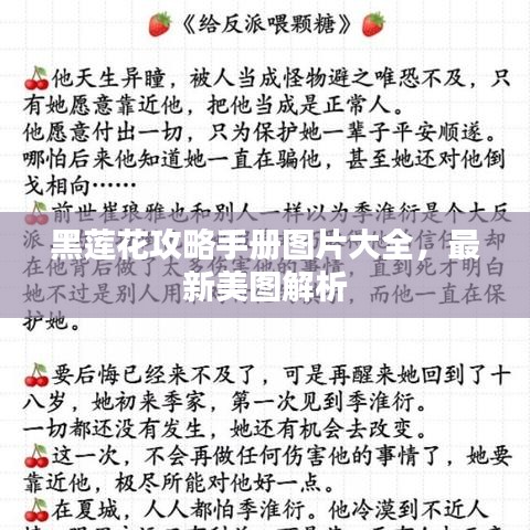 黑蓮花攻略手冊圖片大全，最新美圖解析