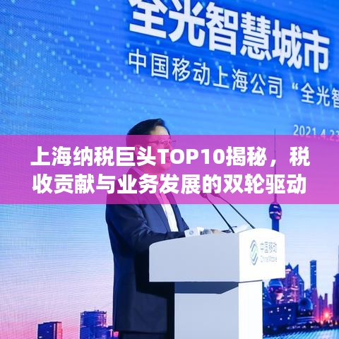 上海納稅巨頭TOP10揭秘，稅收貢獻與業(yè)務(wù)發(fā)展的雙輪驅(qū)動力量