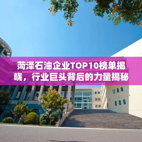 菏澤石油企業(yè)TOP10榜單揭曉，行業(yè)巨頭背后的力量揭秘