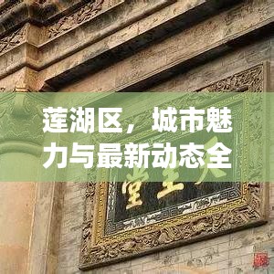 蓮湖區(qū)，城市魅力與最新動(dòng)態(tài)全揭秘